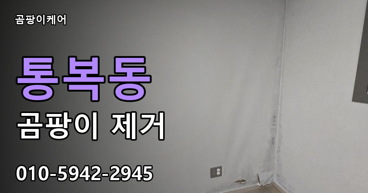 통복동 곰팡이 제거 - 곰팡이케어 실제 시공 현장