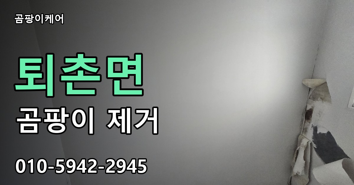 퇴촌면 곰팡이 제거 - 곰팡이케어 실제 시공 현장