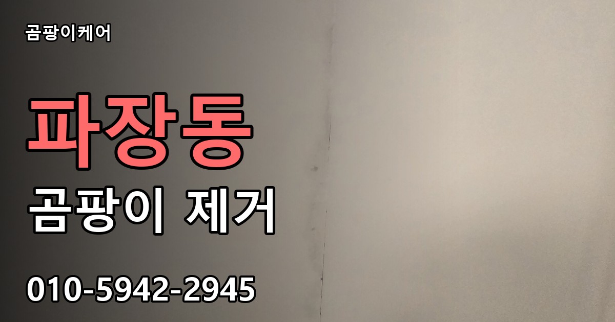 파장동 곰팡이 제거 - 곰팡이케어 실제 시공 현장