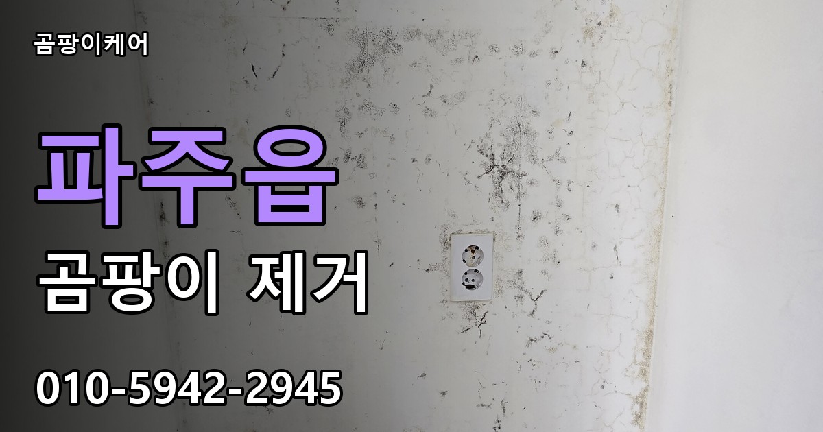 파주읍 곰팡이 제거 - 곰팡이케어 실제 시공 현장