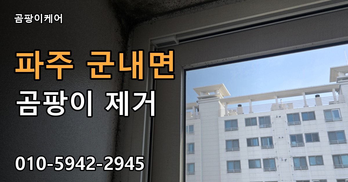 파주 군내면 곰팡이 제거 - 곰팡이케어 실제 시공 현장