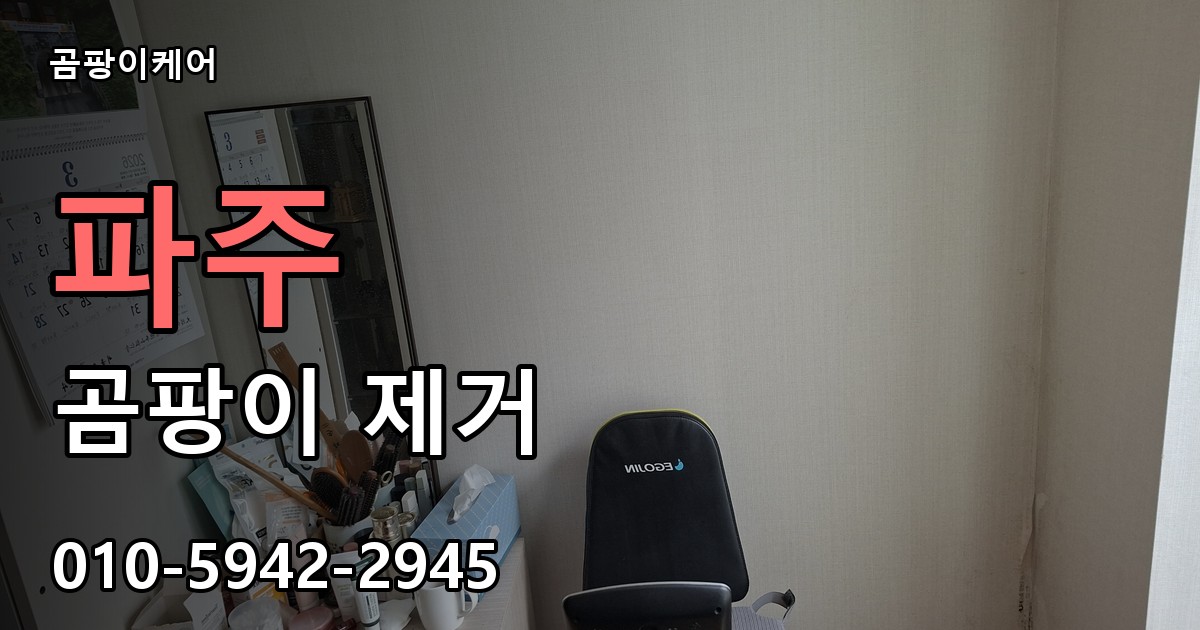 파주 곰팡이 제거 - 곰팡이케어 실제 시공 현장