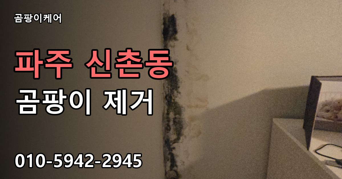 파주 신촌동 곰팡이 제거 - 곰팡이케어 실제 시공 현장