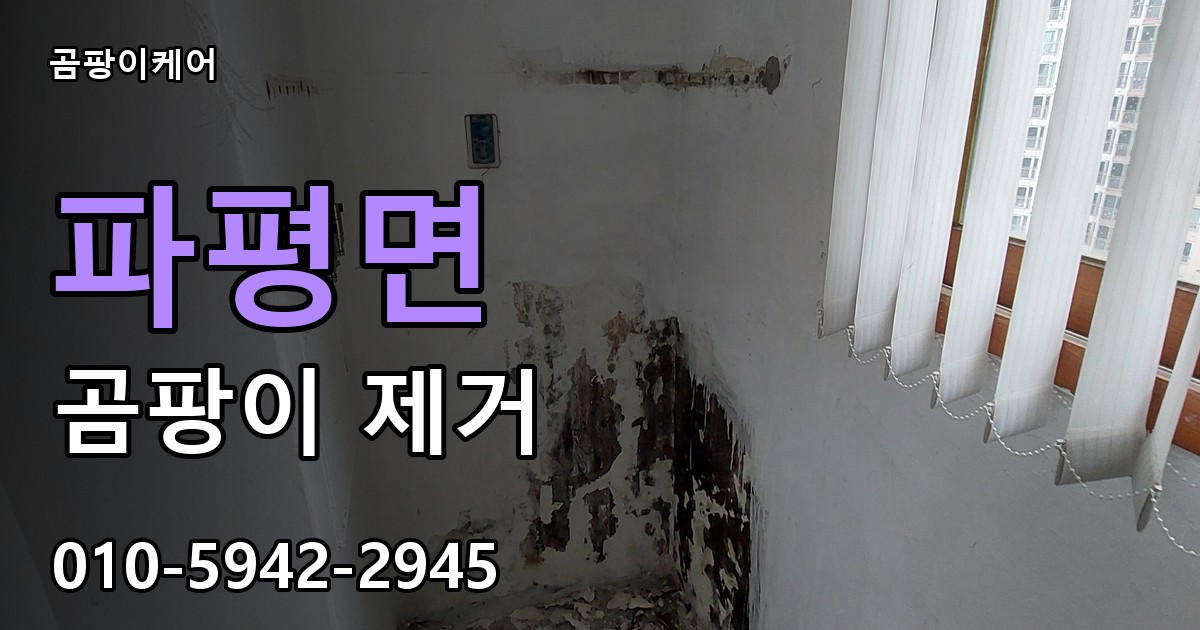 파평면 곰팡이 제거 - 곰팡이케어 실제 시공 현장