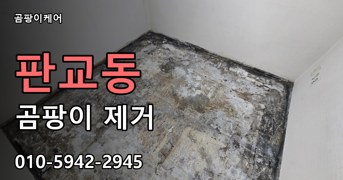판교동 곰팡이 제거 - 곰팡이케어 실제 시공 현장
