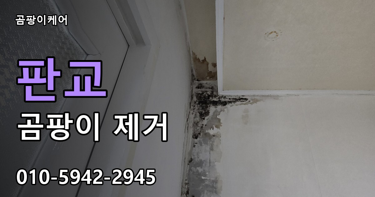 판교 곰팡이 제거 - 곰팡이케어 실제 시공 현장