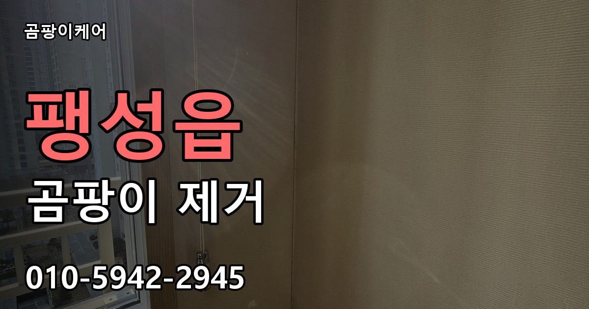 팽성읍 곰팡이 제거 - 곰팡이케어 실제 시공 현장