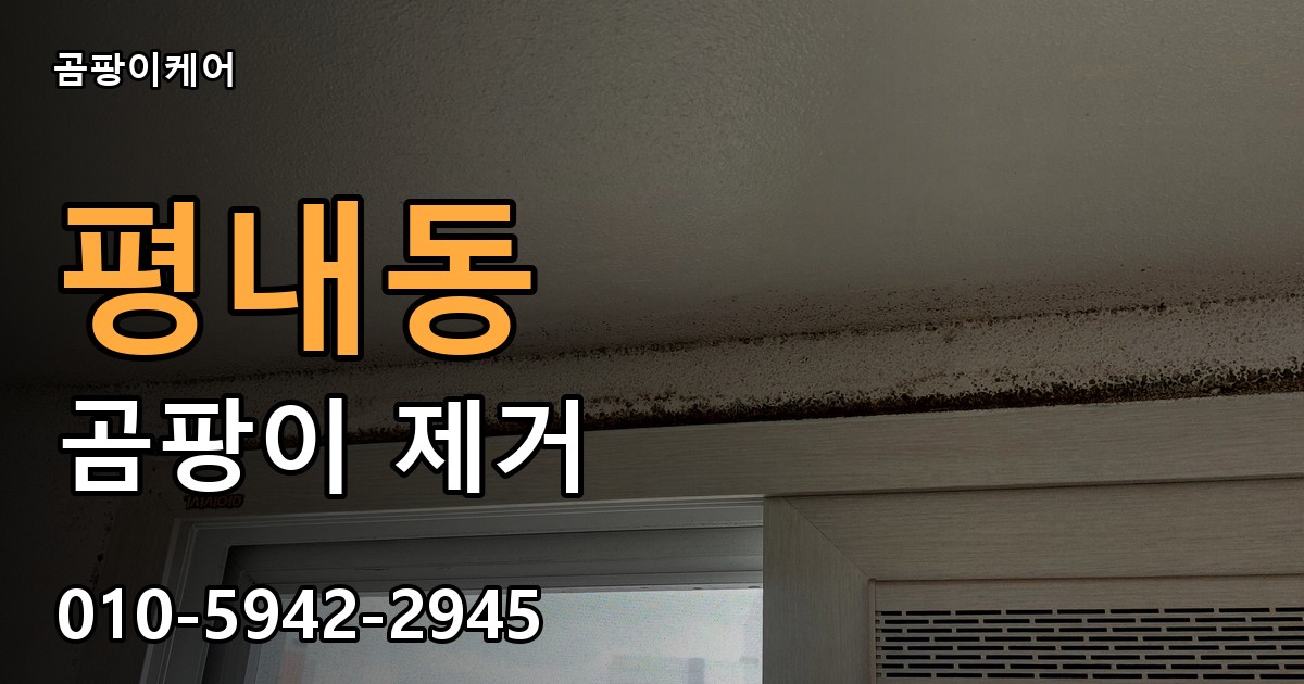 평내동 곰팡이 제거 - 곰팡이케어 실제 시공 현장