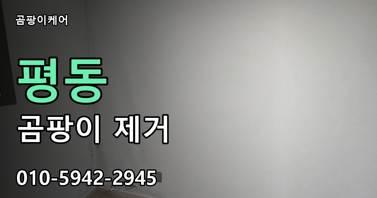 평동 곰팡이 제거 - 곰팡이케어 실제 시공 현장