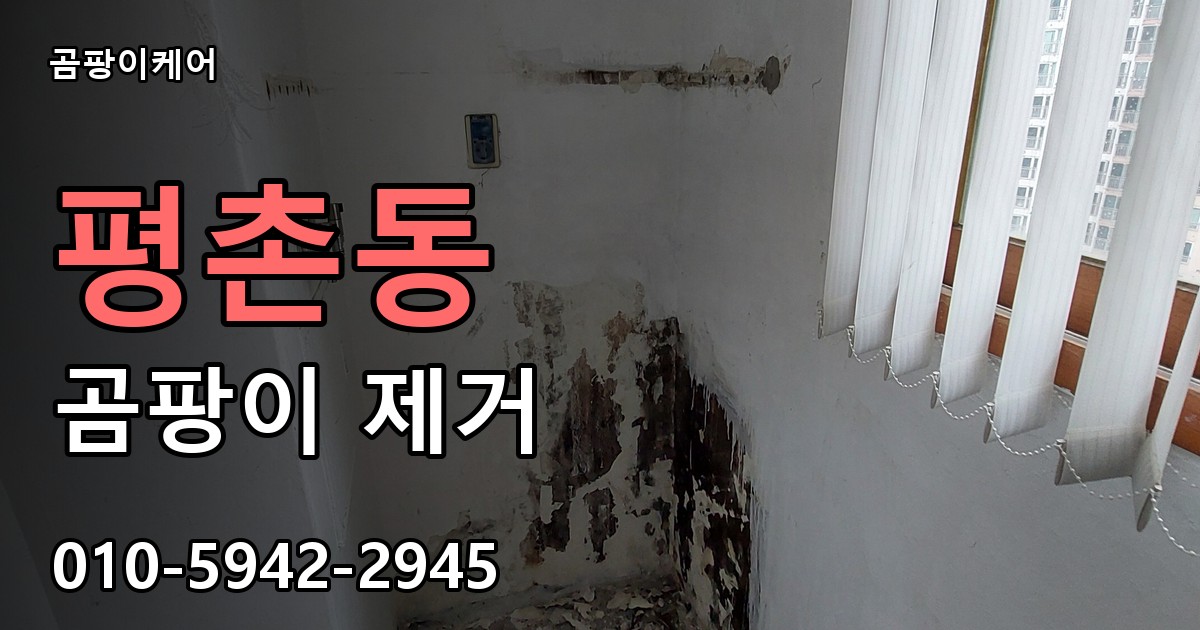 평촌동 곰팡이 제거 - 곰팡이케어 실제 시공 현장