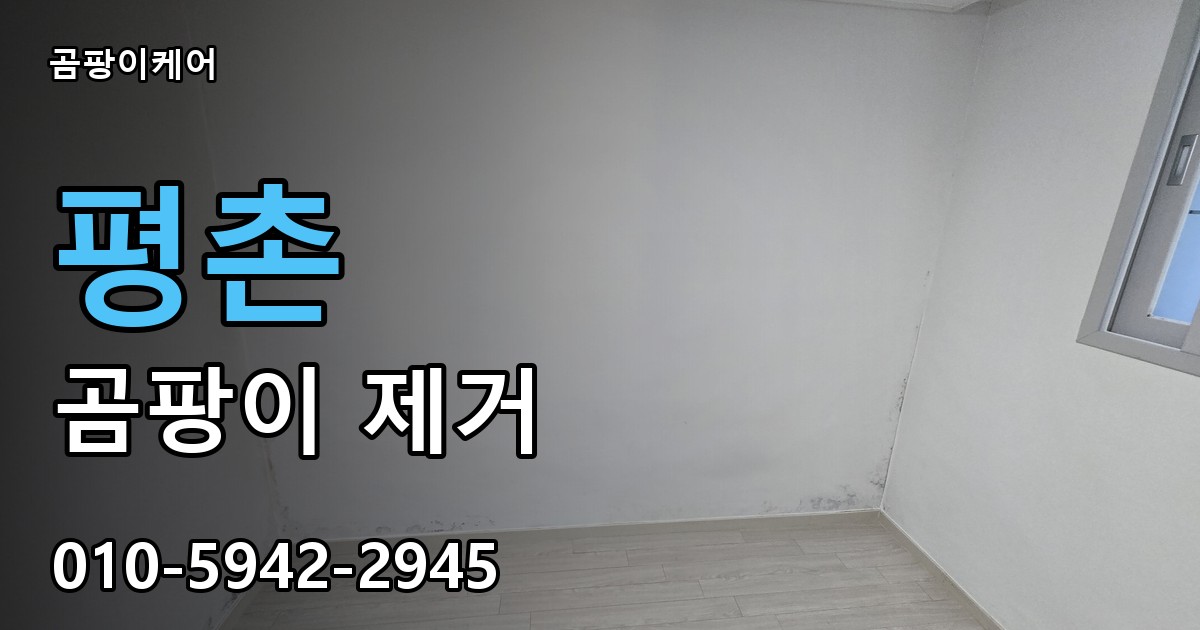평촌 곰팡이 제거 - 곰팡이케어 실제 시공 현장
