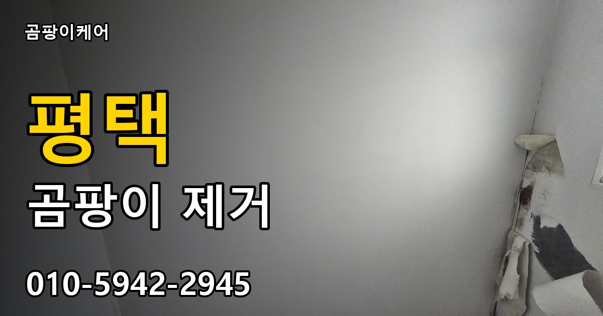 평택 곰팡이 제거 - 곰팡이케어 실제 시공 현장