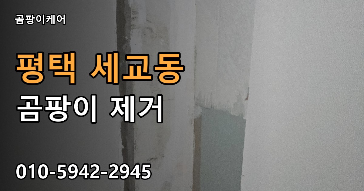 평택 세교동 곰팡이 제거 - 곰팡이케어 실제 시공 현장