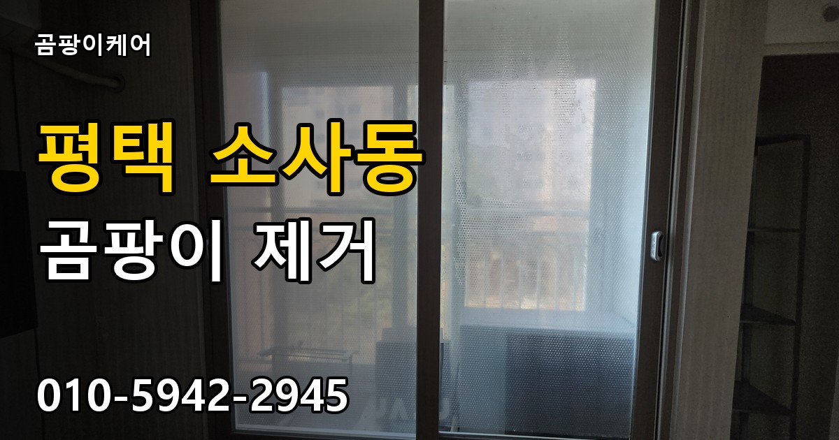 평택 소사동 곰팡이 제거 - 곰팡이케어 실제 시공 현장