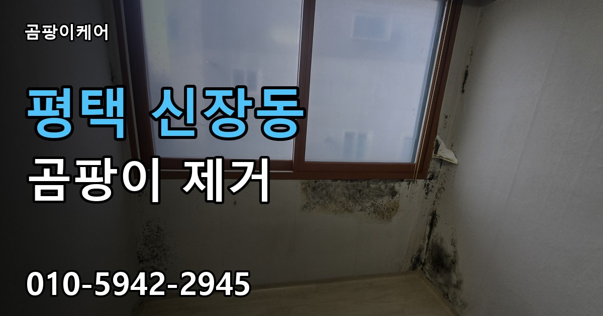 평택 신장동 곰팡이 제거 - 곰팡이케어 실제 시공 현장