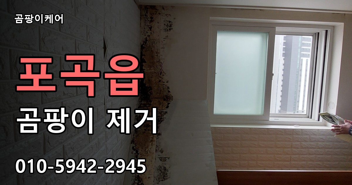포곡읍 곰팡이 제거 - 곰팡이케어 실제 시공 현장