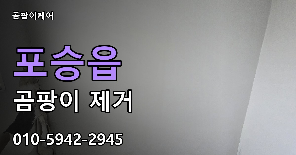 포승읍 곰팡이 제거 - 곰팡이케어 실제 시공 현장