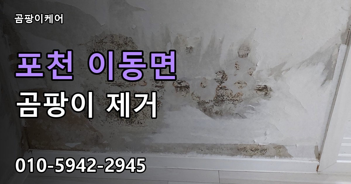 포천 이동면 곰팡이 제거 - 곰팡이케어 실제 시공 현장