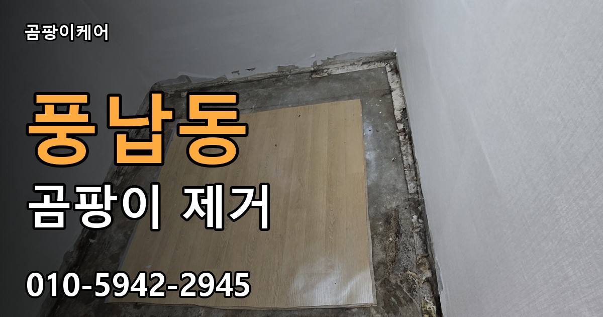 풍납동 곰팡이 제거 - 곰팡이케어 실제 시공 현장