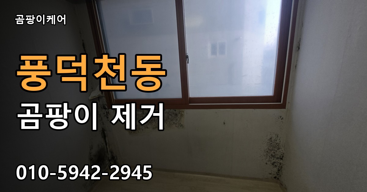 풍덕천동 곰팡이 제거 - 곰팡이케어 실제 시공 현장