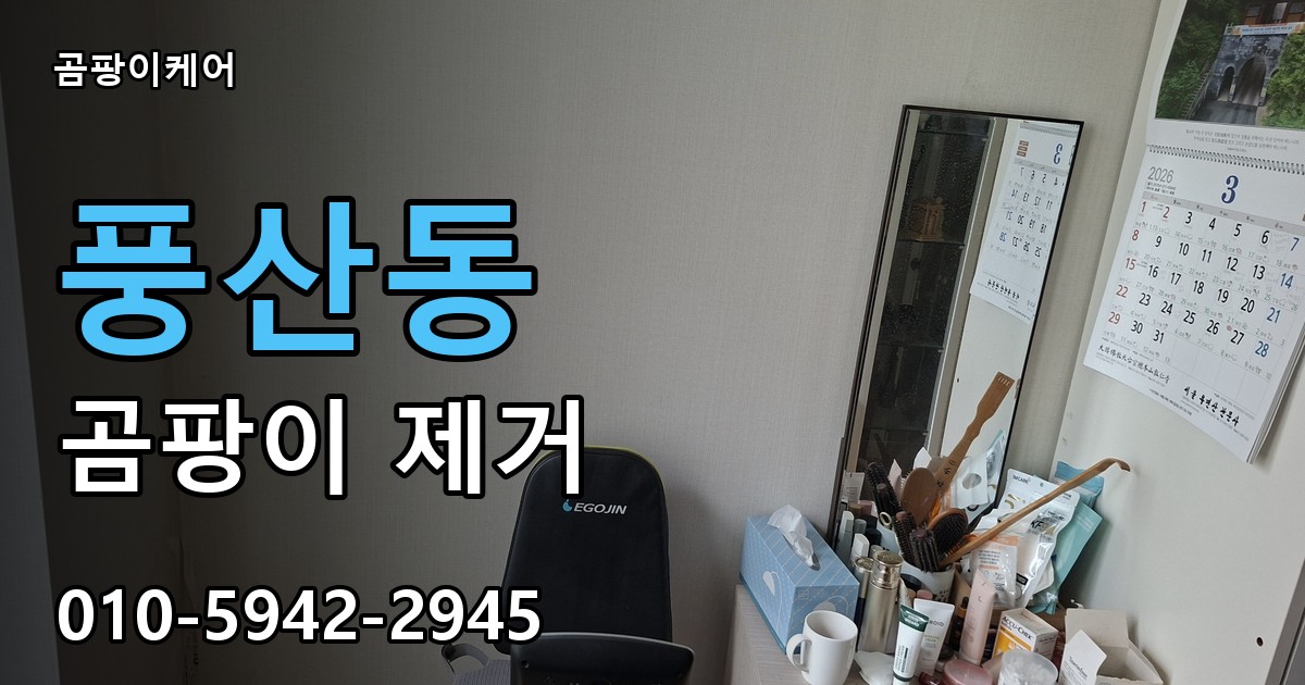 풍산동 곰팡이 제거 - 곰팡이케어 실제 시공 현장