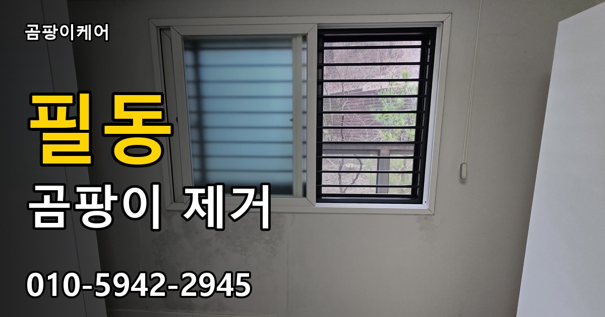 필동 곰팡이 제거 - 곰팡이케어 실제 시공 현장