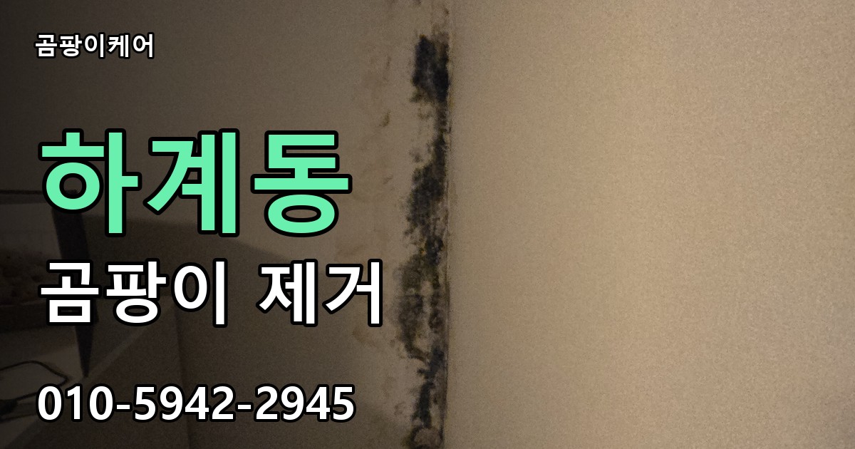 하계동 곰팡이 제거 - 곰팡이케어 실제 시공 현장