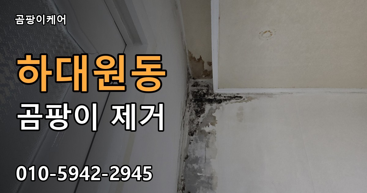 하대원동 곰팡이 제거 - 곰팡이케어 실제 시공 현장