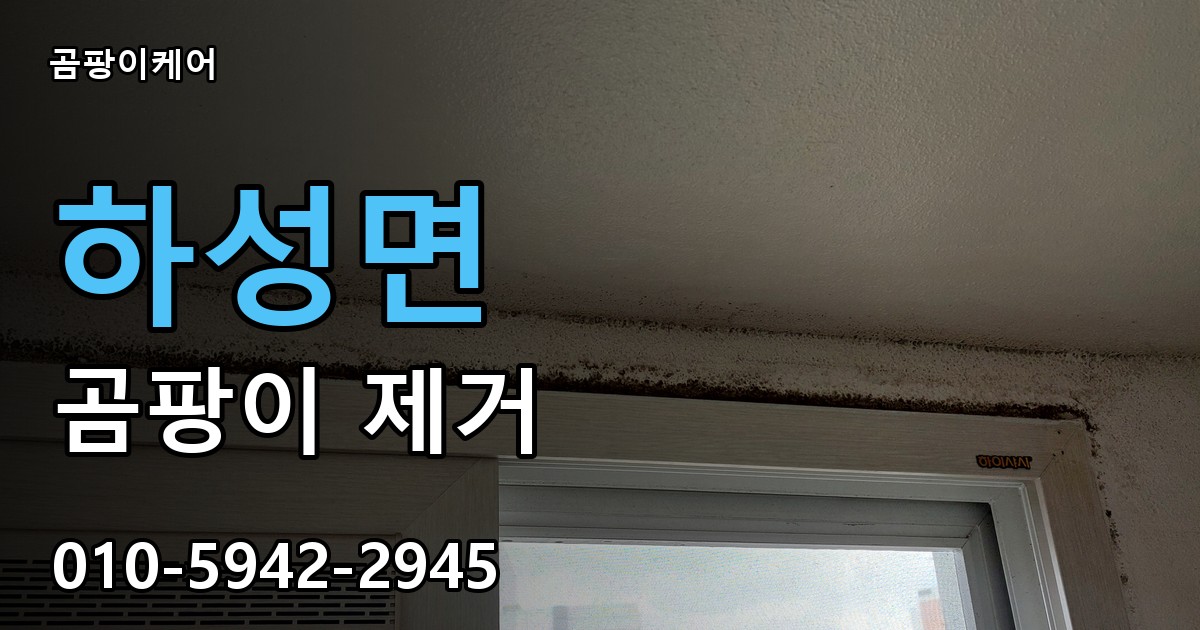 하성면 곰팡이 제거 - 곰팡이케어 실제 시공 현장