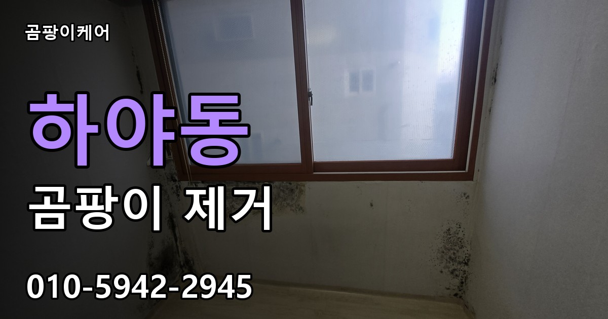 하야동 곰팡이 제거 - 곰팡이케어 실제 시공 현장
