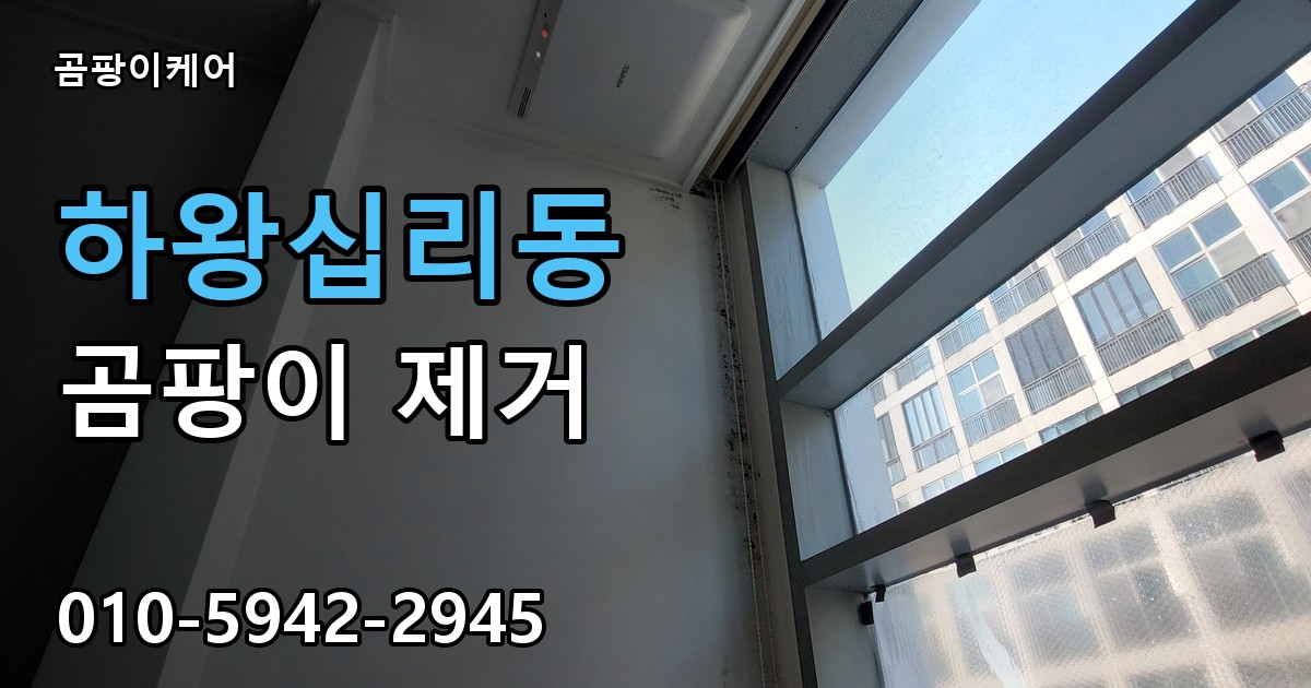 하왕십리동 곰팡이 제거 - 곰팡이케어 실제 시공 현장