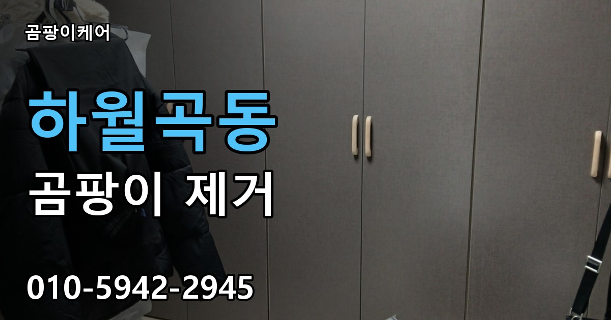 하월곡동 곰팡이 제거 - 곰팡이케어 실제 시공 현장
