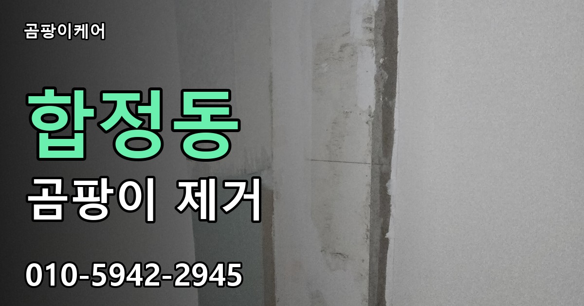 합정동 곰팡이 제거 - 곰팡이케어 실제 시공 현장