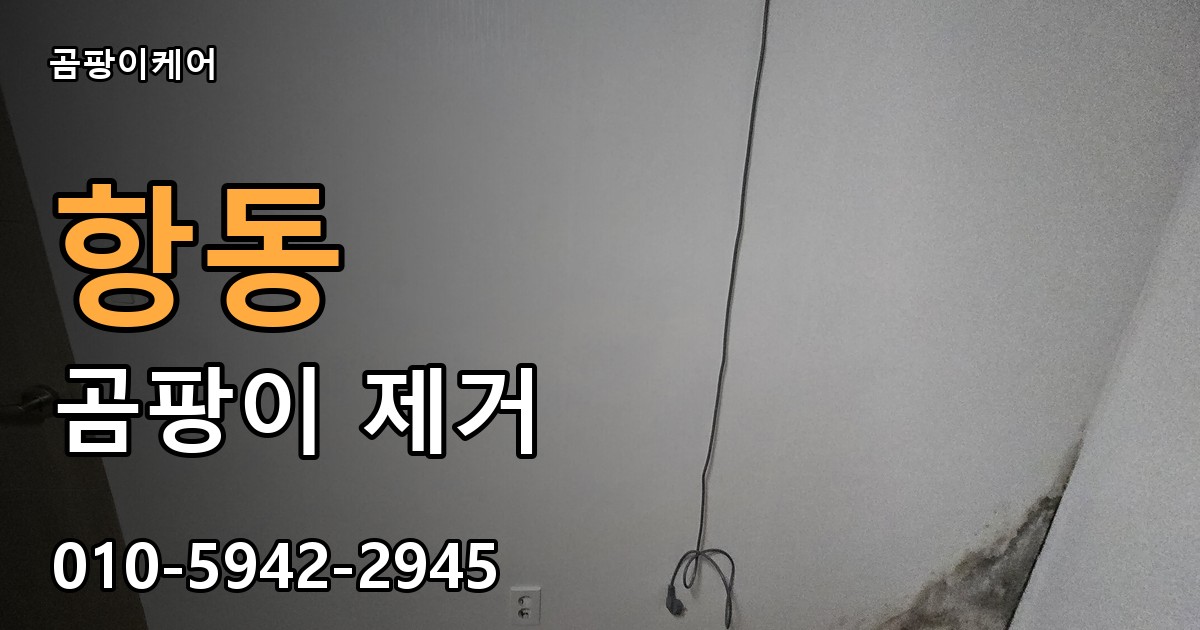 항동 곰팡이 제거 - 곰팡이케어 실제 시공 현장