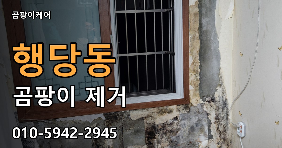 행당동 곰팡이 제거 - 곰팡이케어 실제 시공 현장