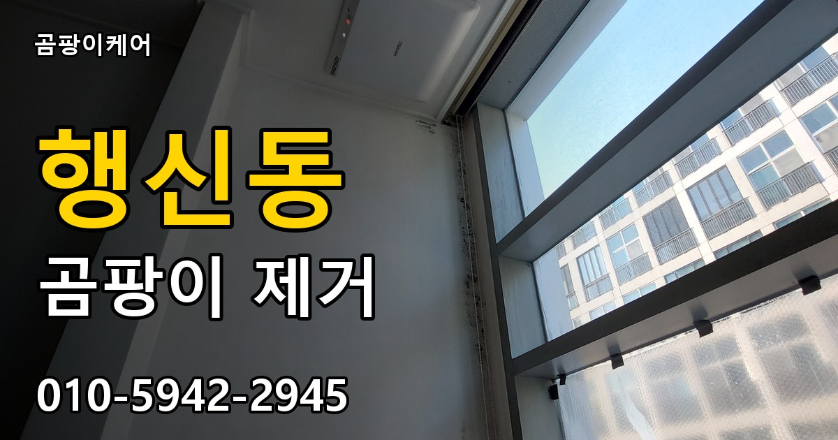 행신동 곰팡이 제거 - 곰팡이케어 실제 시공 현장