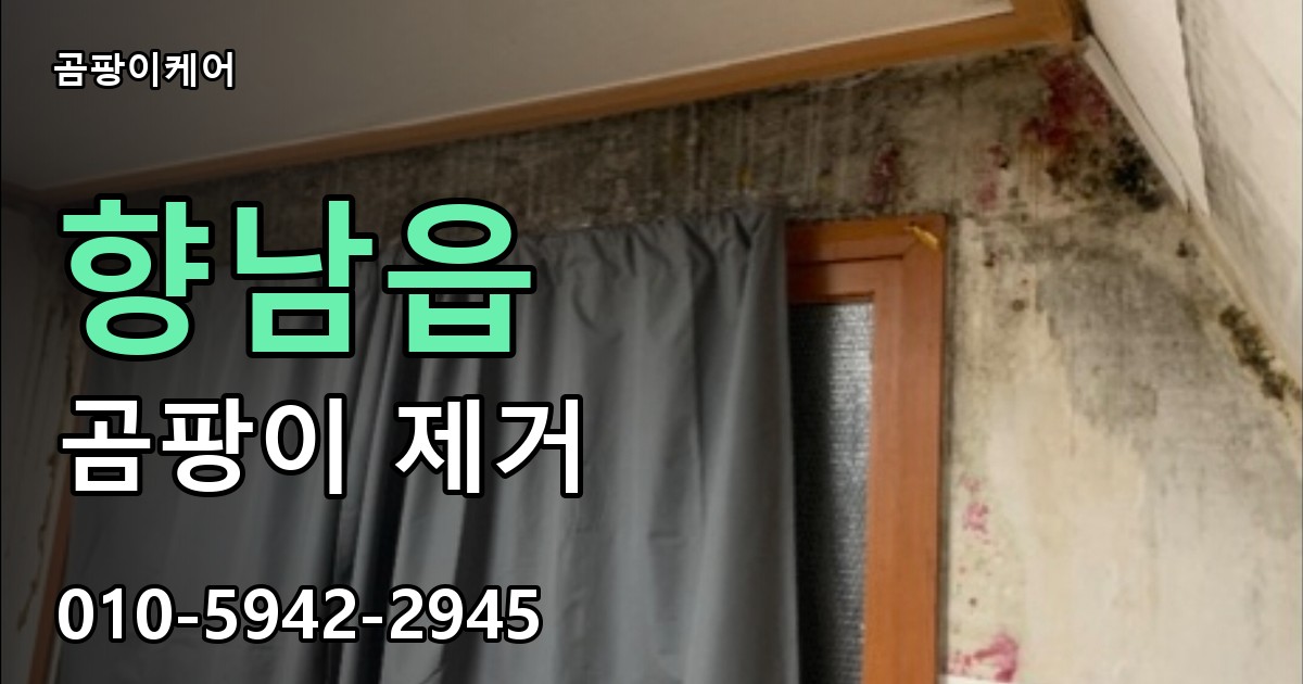 향남읍 곰팡이 제거 - 곰팡이케어 실제 시공 현장