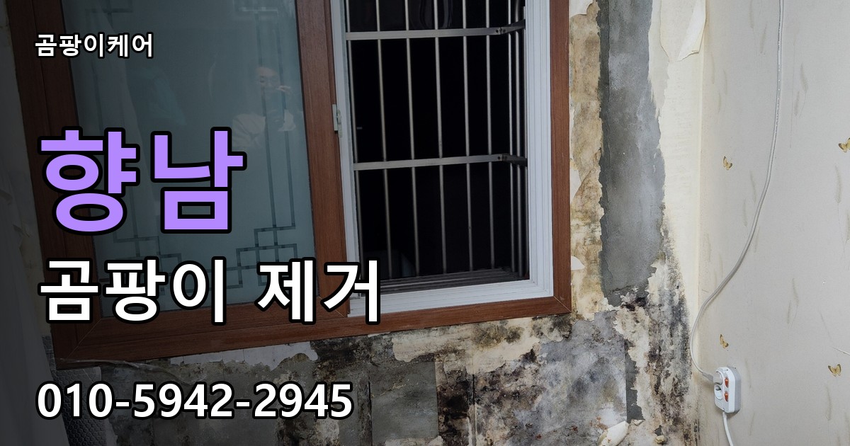 향남 곰팡이 제거 - 곰팡이케어 실제 시공 현장