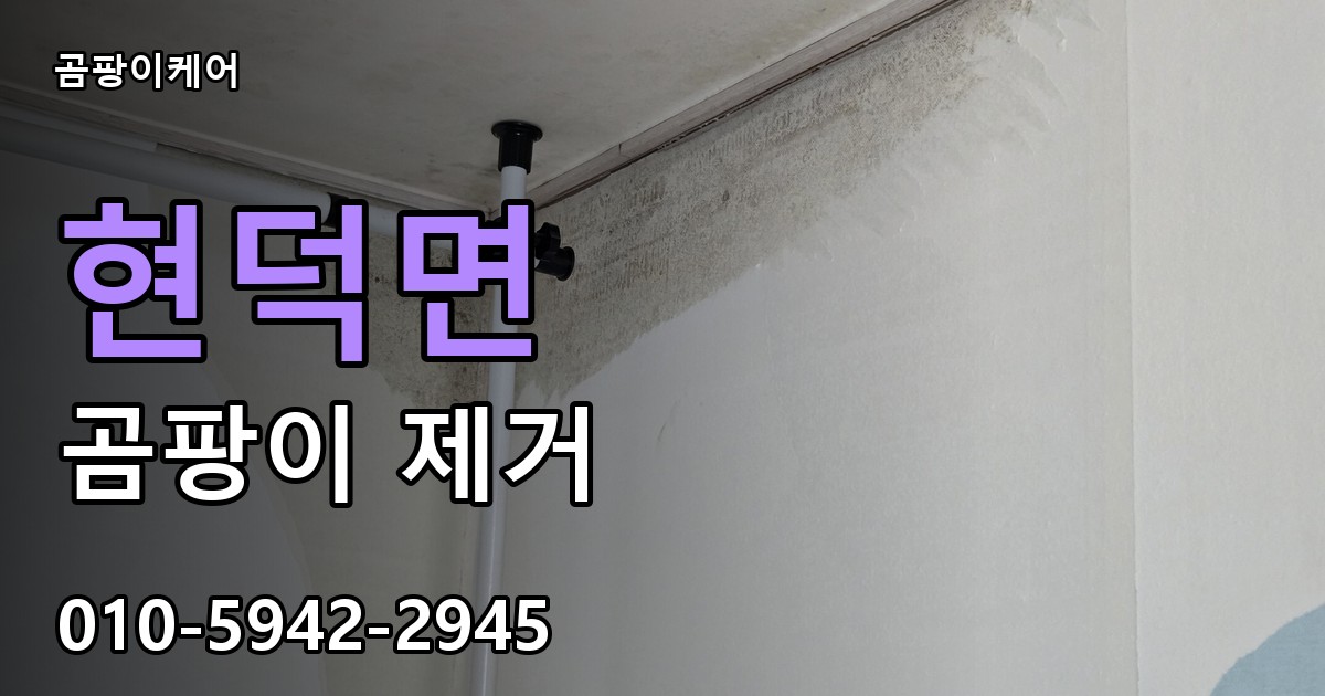 현덕면 곰팡이 제거 - 곰팡이케어 실제 시공 현장