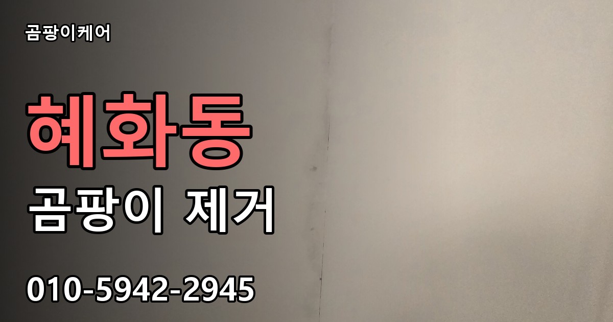 혜화동 곰팡이 제거 - 곰팡이케어 실제 시공 현장