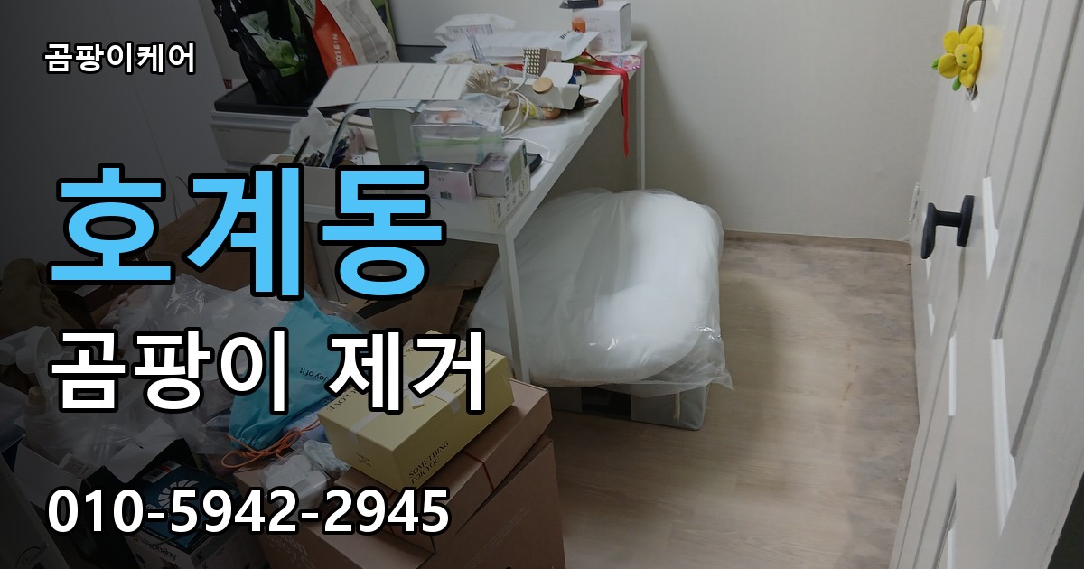 호계동 곰팡이 제거 - 곰팡이케어 실제 시공 현장