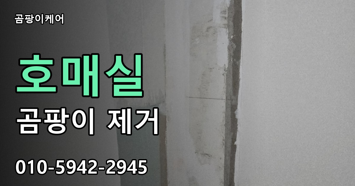 호매실 곰팡이 제거 - 곰팡이케어 실제 시공 현장