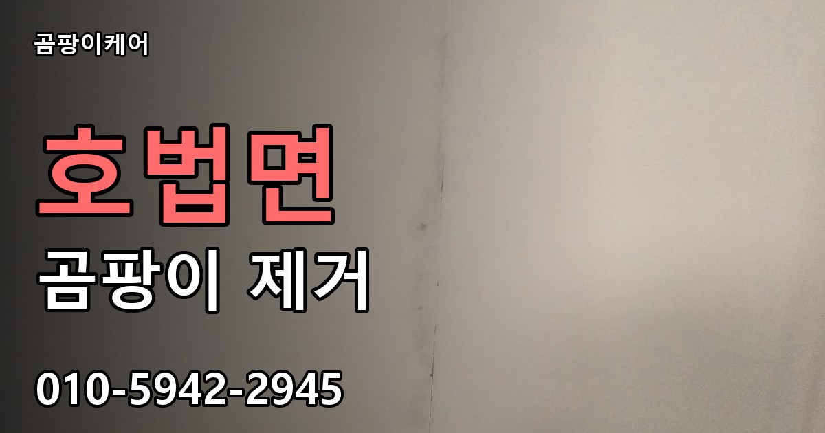 호법면 곰팡이 제거 - 곰팡이케어 실제 시공 현장