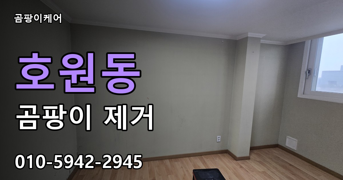 호원동 곰팡이 제거 - 곰팡이케어 실제 시공 현장