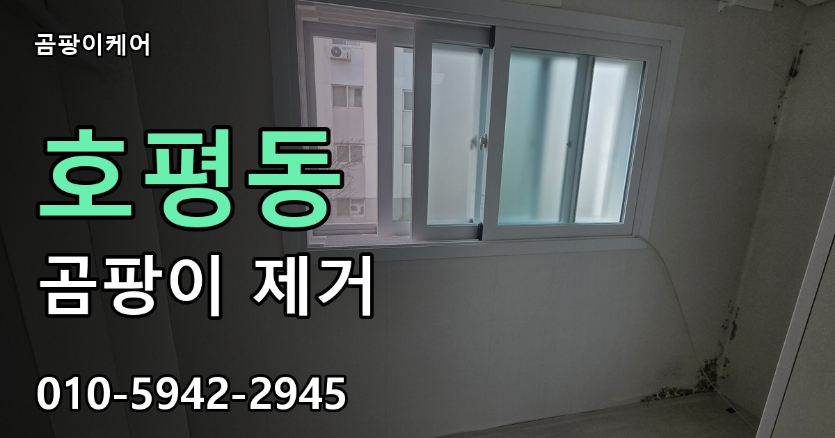 호평동 곰팡이 제거 - 곰팡이케어 실제 시공 현장