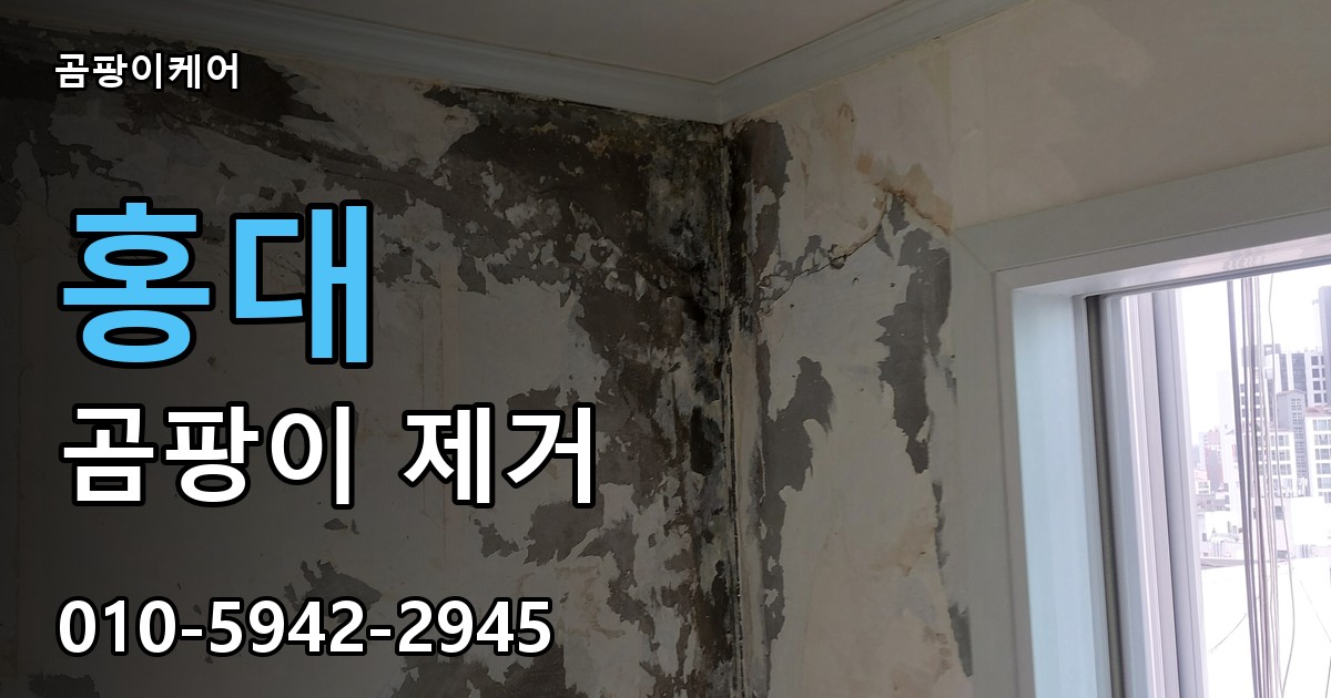 홍대 곰팡이 제거 - 곰팡이케어 실제 시공 현장