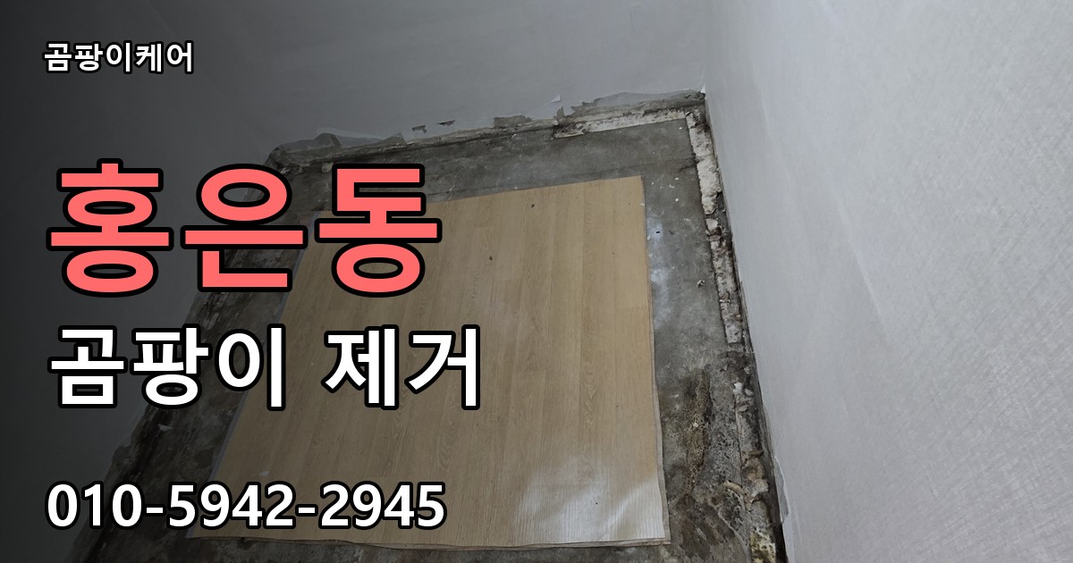 홍은동 곰팡이 제거 - 곰팡이케어 실제 시공 현장