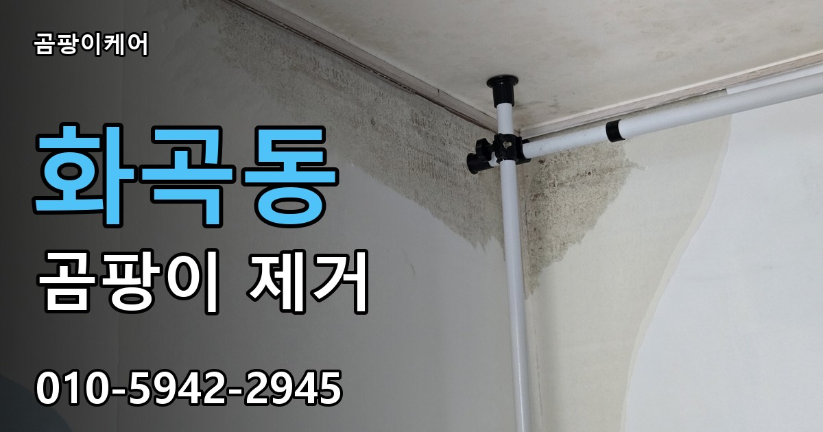 화곡동 곰팡이 제거 - 곰팡이케어 실제 시공 현장