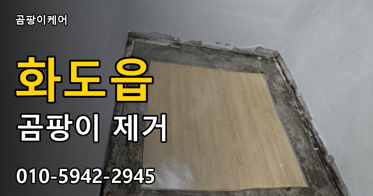 화도읍 곰팡이 제거 - 곰팡이케어 실제 시공 현장