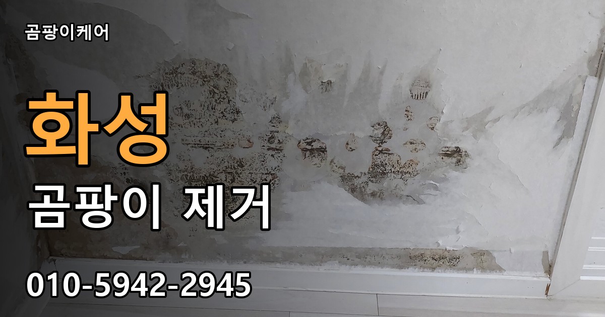 화성 곰팡이 제거 - 곰팡이케어 실제 시공 현장